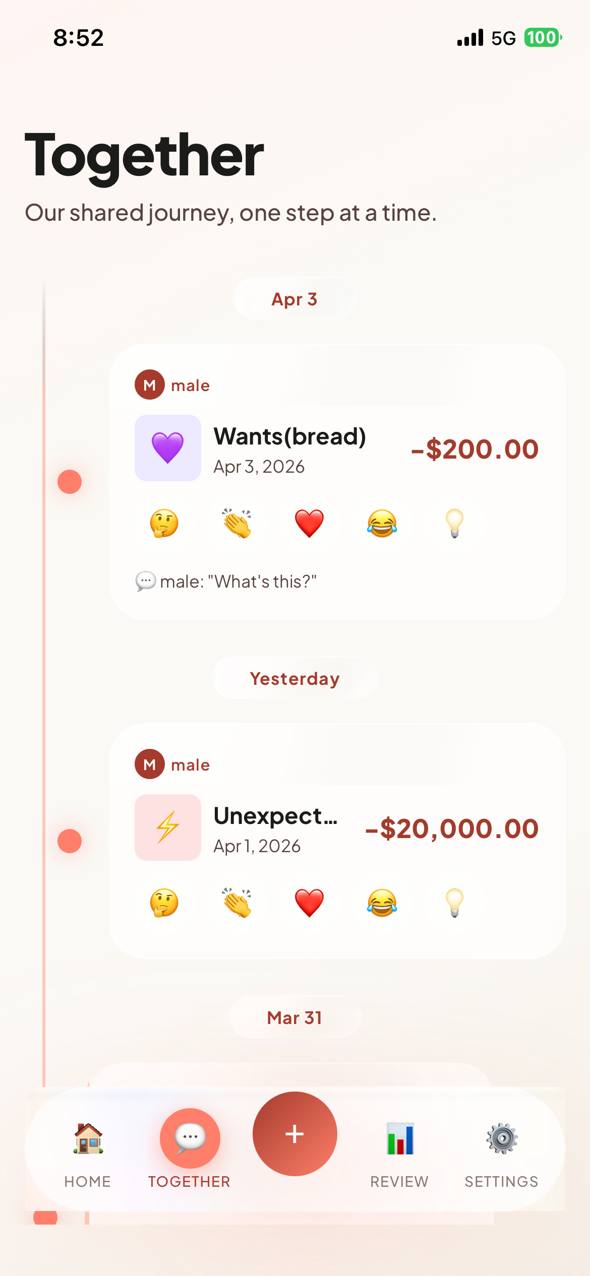 Add expense